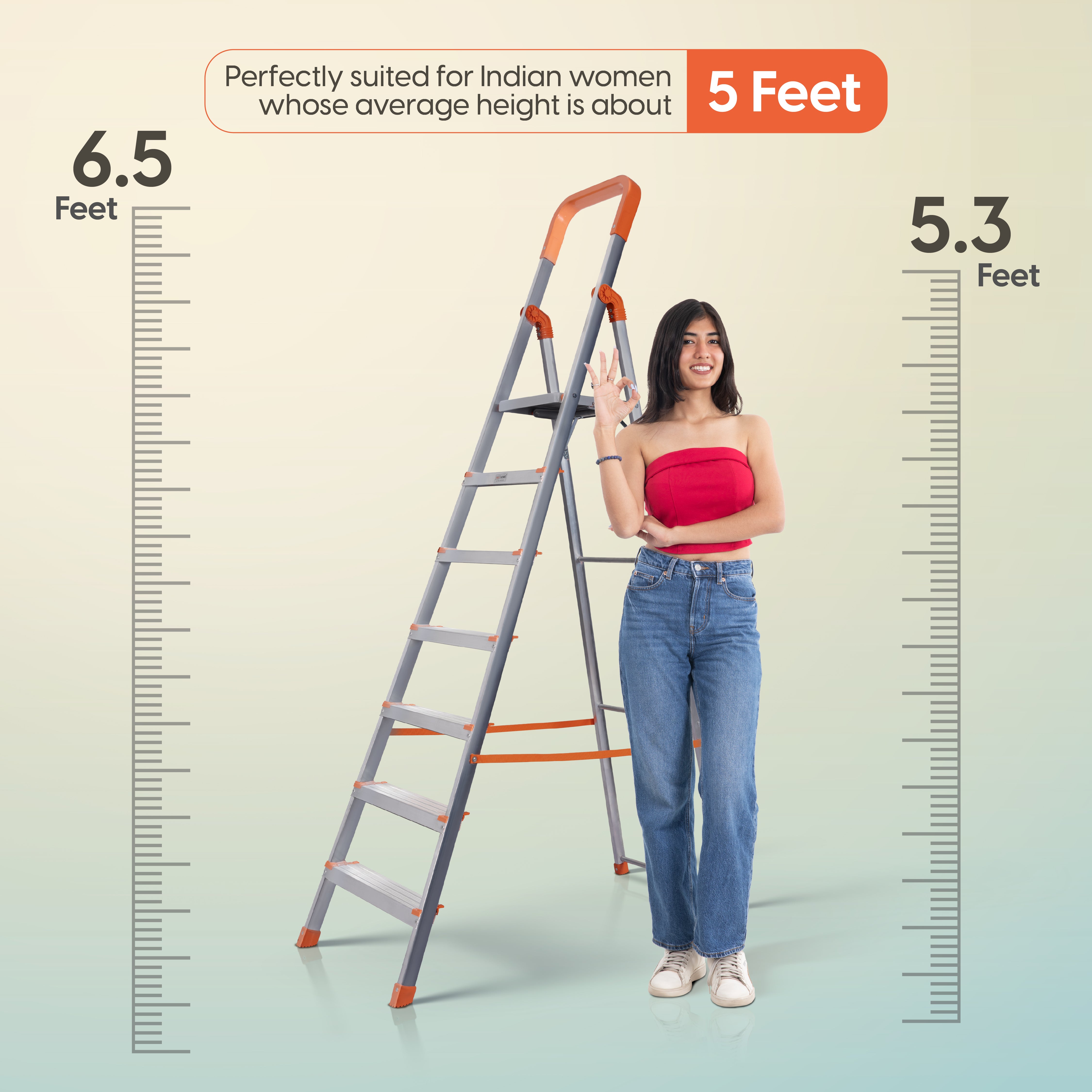 Aqua 6 Step Aluminum Ladder with 5 Anti Slip Shoes (With Platform)