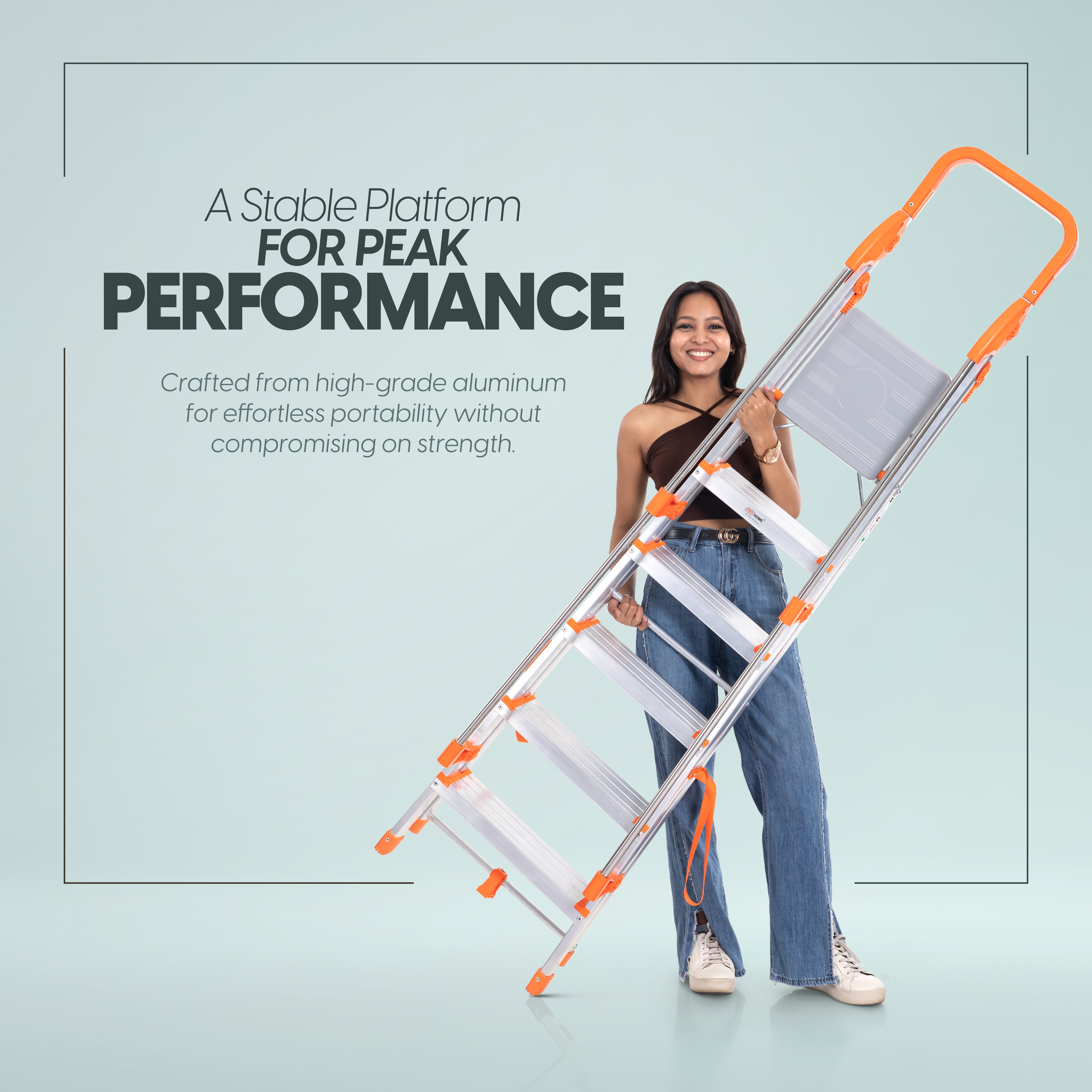 Hand Railing 6 Steps Aluminium Ladder with 5 Anti Slip Shoes (With Platform)